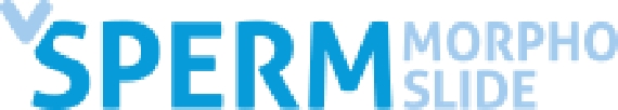 SPERM MORPHO SLIDE